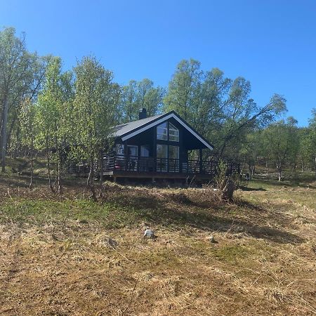 Aurora Woods Villa Skjervoy Dış mekan fotoğraf