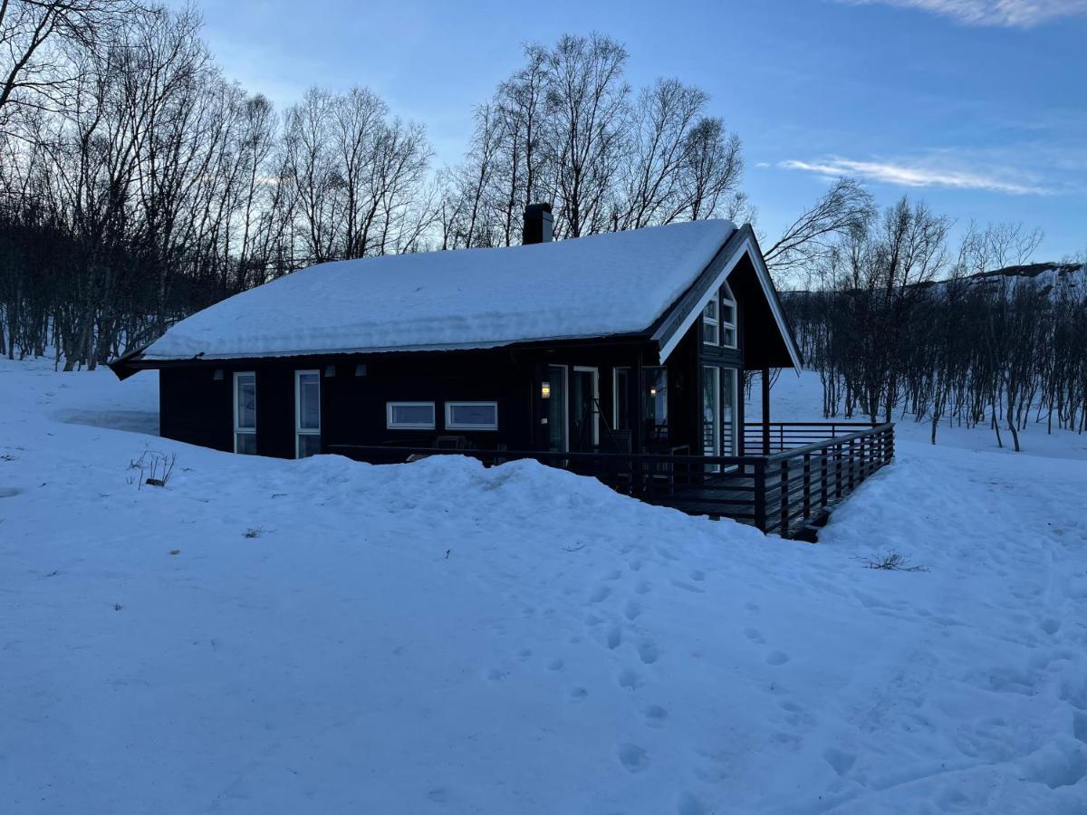 Aurora Woods Villa Skjervoy Dış mekan fotoğraf